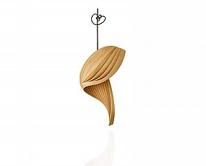 צדף תלוי צדף תלוי