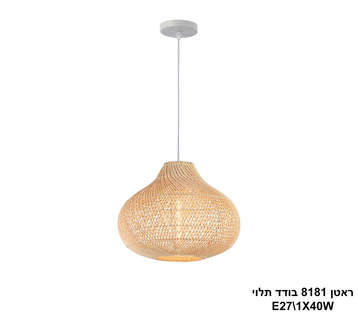 ���� ����� ����